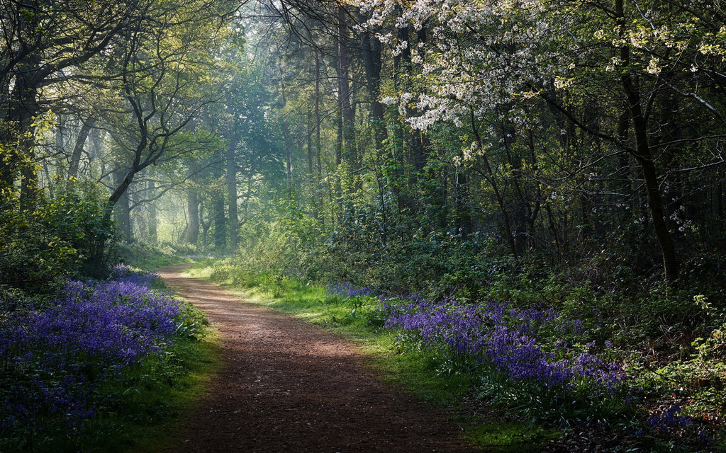 My Own Unique Path